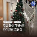 전좌로 | 의정부 호원동 카페 라이크림 :: 크리스마스 트리 분위기 내돈내산 후기