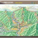 동대전농협 앞 이미지
