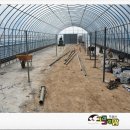 재신농장 이미지