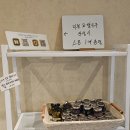 비바치아타