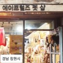 주식회사 하이나 이미지
