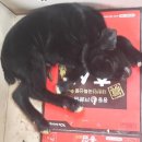 조산농장 이미지