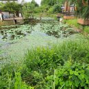 바람솔길펜션 이미지