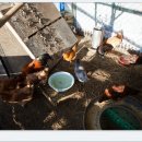 이상은농장 이미지