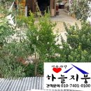 윤씨네민박 이미지