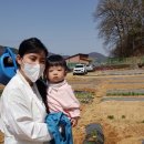 제일농약사2 이미지