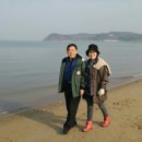불타는청춘 Daum카페