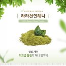 천연헤나 이미지