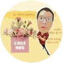 도제원초등학교 이미지