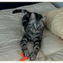 아이조아 요양보호소 서울점 이미지