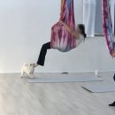 UR(경산시)-[압독2로]-하-1 | [경산 운동 추천] 많은 운동 종류들... 뭘 해야 하지? 운동별 솔직 비교 후기 '영스필라테스 &amp; 플라잉...