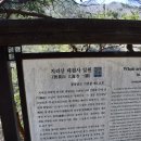 25년 3월 19일 산청 지리산 대원사 - 1 이미지