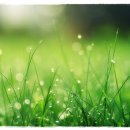 연수서울치과의원 이미지