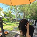 커피공주 | [공주 카페 추천] 소금빵 성지 발견! 눈과 입이 즐거운 공주 '17커피' 솔직 후기 🥐