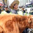 소한마리 이미지
