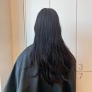 보라살롱