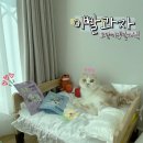 킴스덴탈 이미지