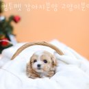 평천로 갈산사거리~평천로 삼산사거리 이미지