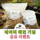 다육이야기 이미지