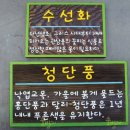 진흥원색 이미지