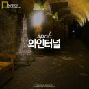 와인터널주차장 | 청도 와인터널 방문 후기 주차장 애견 동반 가능 여부 등