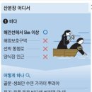 산분장이 합법화 되었습니다 이미지