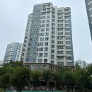 퀸덤 1차 아인슈타인 이미지