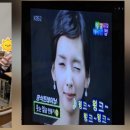 스피치 Daum카페