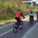 금선농장 이미지