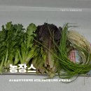 소농농장 | 소농살리기 프로젝트 농장스 친환경 농산물 꾸러미 채소 후기