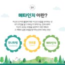 메타의원 이미지