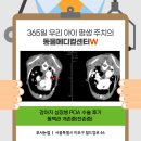 루카메디컬 | 강아지 심장병 PDA 수술 후기 : 동맥관 개존증(잔존증)