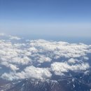 [일본 혼자 도쿄여행🇯🇵-1일차] 나리타공항 파스모충전ㅣ신주쿠 주술회전 성지 위치ㅣ신주쿠 중고 굿즈샵...