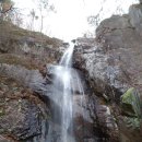 밀레 군산영동점 이미지