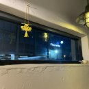 해리지 | 해운대술집, 다양한 술을 접할 수 있는 ‘비하이브(beehive)’ 찐 강추