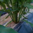 형재농장 이미지