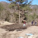 숲속 게르 하우스 이미지