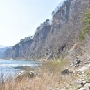 동강할미꽃마을 이미지