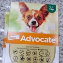 서정부부약국 이미지