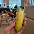 설화수사우나 이미지