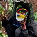 청송유기농