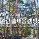 대관령 솔내음 오토 캠핑장 이미지
