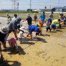 고양1호농장 이미지