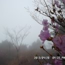 정수초등학교 이미지