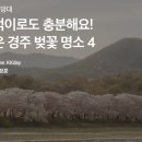 아쿠아B&K빌리지 이미지