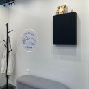 서울고양이미용실 이미지