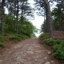 백운산펜션 이미지