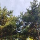 평촌공원 입구 이미지