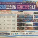 광명사회체육센터 | 광명사회체육센터 유존 철산 수영장 시간표 / 자유수영 시간표 / 전단지 / 저녁직장인반 수강 후기