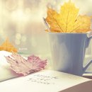 Richard Clayderman - Romeo and Juliet Theme 이미지